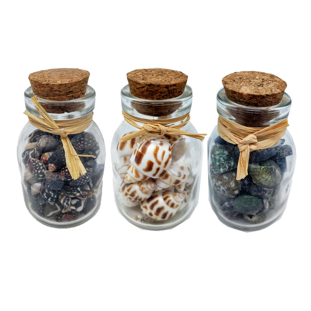 Nautical Beach Seashell Bottle Set
